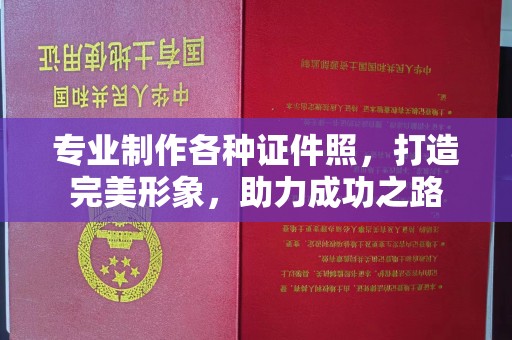 西平专业制作各种证件照，打造完美形象，助力成功之路